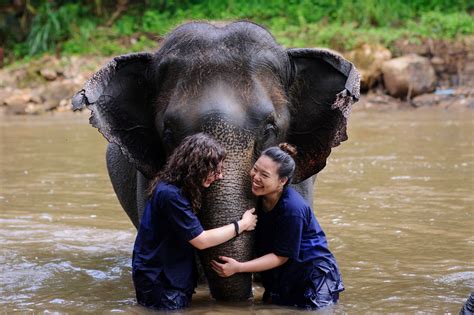 volunteer abroad with animals